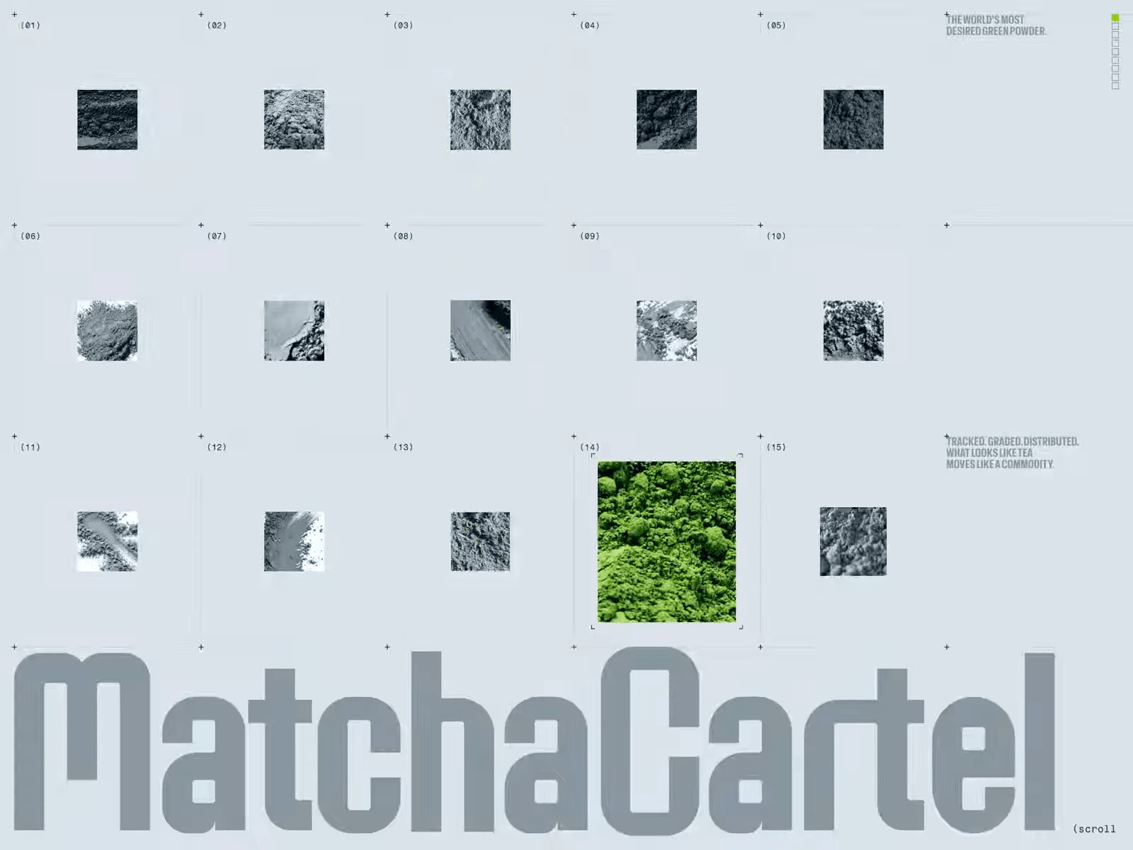 Matcha Cartel
